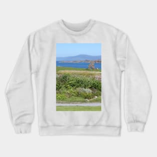 Iona Crewneck Sweatshirt